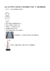 2022-2023学年辽宁省丹东六中协作校联考八年级（下）期末物理试卷（含答案解析）