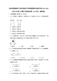 天津市滨海新区天津外国语大学附属滨海外国语学校2023-2024学年九年级上学期月考物理试卷（10月份）