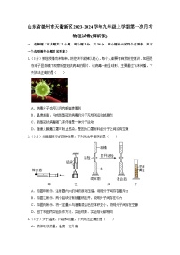 山东省德州市天衢新区2023-2024学年九年级上学期第一次月考物理试卷