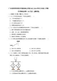 广东省深圳市福田外国语南山学校2023-2024学年九年级上学期月考物理试卷（10月份）