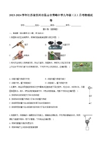 江苏省苏州市昆山市秀峰中学2023-2024学年九年级上学期月考物理试题