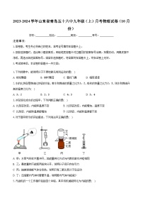 山东省青岛五十六中2023-2024学年九年级上学期月考物理试卷（10月份）