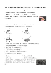 河南省南阳市内乡县2023-2024学年八年级上学期月考物理试卷（10月份）