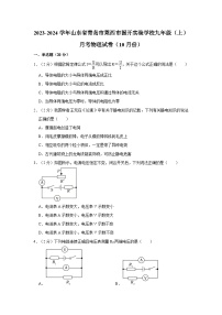 山东省青岛市莱西市国开实验学校2023-2024学年九年级上学期十月月考物理试卷