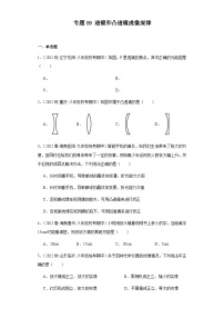 【期中真题】2023-2024学年八年级物理上册 期中真题分类专题汇编 专题09 透镜和凸透镜成像规律-试卷.zip