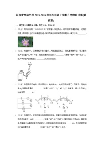 河南省实验中学2023-2024学年九年级上学期月考物理试卷