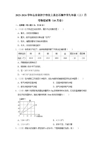 2023-2024学年山东省济宁市汶上县白石镇中学九年级上学期月考物理试卷（10月份）
