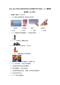 2023-2024学年江苏省苏州市文昌实验中学九年级上学期调研物理试卷（10月份）