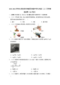 江苏省苏州市新区实验中学2023-2024学年九年级上学期月考物理试卷（10月份）