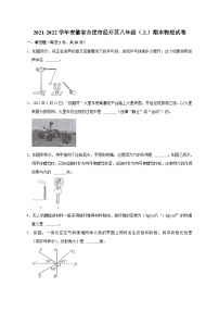 21沪科版安徽省合肥市经开区2021-2022学年八年级（上）期末物理试卷