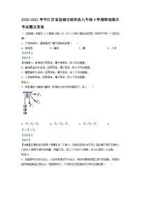 2020-2021学年江苏省盐城市射阳县九年级上学期物理期末考试题及答案