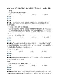 2022-2023学年上海市闵行区九年级上学期物理期中试题及答案