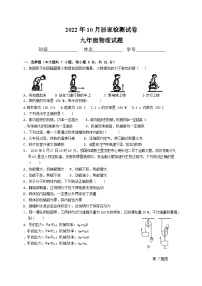 广东省惠州市第五中学2022-2023学年九年级上学期10月考试物理试卷