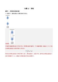 中考物理二轮培优训练专题12  滑轮（含解析）