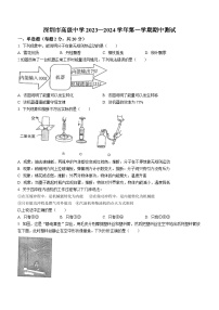 广东省深圳市深圳高级中学初中部2023-2024学年九年级上学期物理期中测试题(无答案)