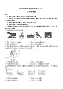 广东省茂名市信宜市2023-2024学年九年级上学期10月期中物理试题