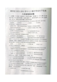 湖北省十堰市郧西县2023-2024学年八年级上学期11月期中物理试题