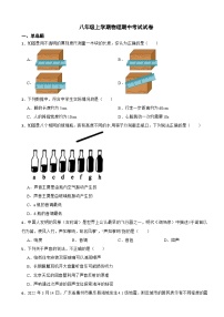 广东省惠州市2023年八年级上学期物理期中考试试卷(附答案）