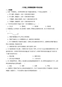 广东省茂名市2023年八年级上学期物理期中考试试卷(附答案）