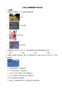 山东省临沂市2023年八年级上学期物理期中考试试卷(附答案）