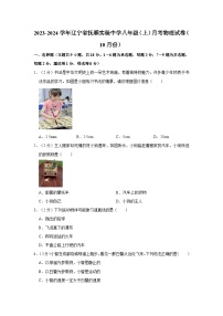 2023-2024学年辽宁省抚顺实验中学八年级（上）月考物理试卷（10月份）