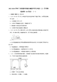 2023-2024学年广东省惠州市综合高级中学九年级（上）月考物理试卷（10月份）（一）