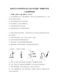 广东省深圳市百合外国语学校2023~2024学年度上学期期中考试九年级物理试卷