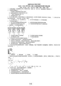 四川省成都市双流区实外西区学校2023-2024学年九年级上学期11月期中物理试题