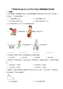 广西河池市2023年九年级上学期物理期中考试试卷(附答案）