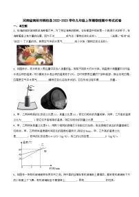 河南省南阳2023年九年级上学期物理期中考试试卷(附答案）