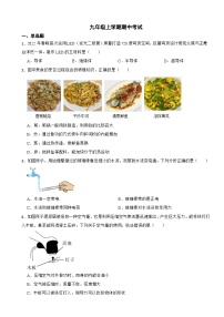 人教版物理2023年九年级上学期期中考试试卷(附答案）