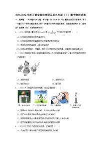 2023-2024学年云南省临沧市耿马县九年级（上）期中物理试卷