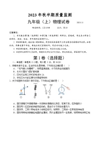 四川省眉山市仁寿县城区2023-2024学年九年级上学期期中考试物理试题