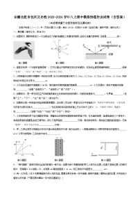 安徽省合肥市2023-2024学年八年级上学期期中模拟预测物理作业试卷