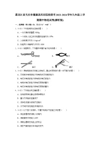 黑龙江省大庆市肇源县西部四校联考2023-2024学年九年级上学期期中物理试卷