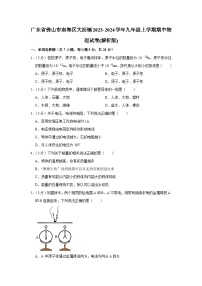 广东省佛山市南海区大沥镇2023-2024学年九年级上学期期中物理试卷