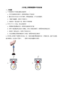 山东省青岛市2023年九年级上学期物理期中试卷(附答案)