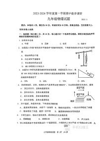 江苏省徐州市睢宁县2023-2024学年九年级上学期11月期中物理试题