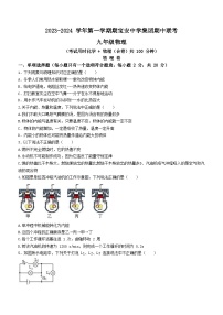 广东省深圳市宝安区宝安中学集团2023-2024学年九年级上学期期中考试物理试题