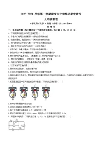 广东省深圳市宝安区宝安中学集团2023-2024学年九年级上学期期中考试物理试题