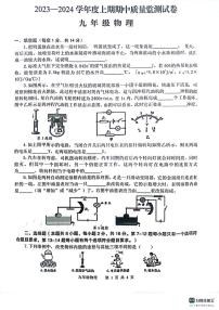 河南省信阳市罗山县2023-2024学年九年级上学期11月期中物理试题