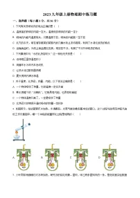广东省广州市2023-2024学年九年级上学期期中模拟练习物理试题
