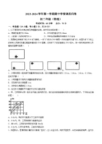 广东省深圳市宝安中学集团2023-2024学年八年级上学期物理期中学情调查题(无答案)