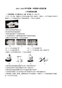 湖北省荆州市松滋市2023-2024学年八年级上学期期中物理试卷(无答案)