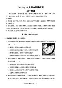 广东省深圳市罗湖区翠园东晓中学2023-2024学年九年级上学期期中质量检测物理试卷