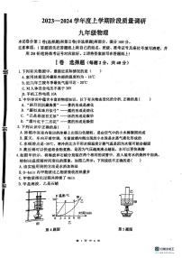 山东省临沂市兰陵县2023-2024学年九年级上学期11月期中物理试题