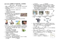 湖北省襄阳市樊城区八校联考2023-2024学年九年级上学期11月期中物理试题