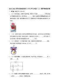 河南省郑州三十九中2023-2024学年九年级上学期期中物理试卷