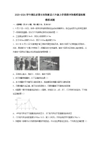 2023-2024学年湖北省黄石市阳新县八年级上学期期中物理质量检测模拟试题（含解析）