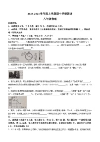 河南省驻马店市平舆县2023-2024学年八年级上学期11月期中物理试题